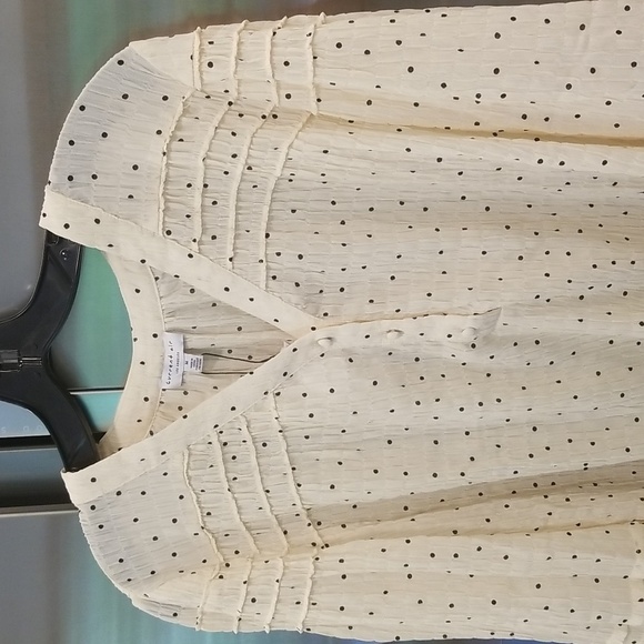 💕CURRENT AIR💕 V-Neck Long Sleeve Polka Dot Crinkle Blouse ~ Cream Medium NWOT - Picture 6 of 13